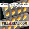 Comment Utiliser La Gelée Orale 100 Mg Kamagra cialis2